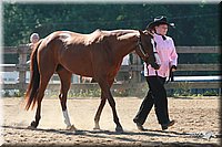 4H-3rd-06_614.jpg