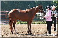 4H-3rd-06_616.jpg