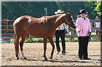 4H-3rd-06_617.jpg
