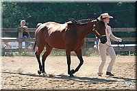 4H-3rd-06_632.jpg
