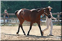 4H-3rd-06_633.jpg