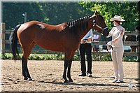 4H-3rd-06_635.jpg