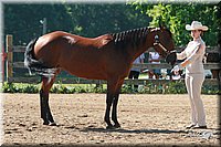 4H-3rd-06_636.jpg