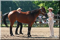 4H-3rd-06_637.jpg