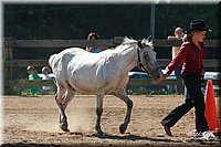 4H-3rd-06_640.jpg