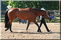 4H-3rd-06_653.jpg