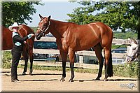 4H-3rd-06_660.jpg