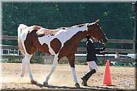 4H-3rd-06_705.jpg