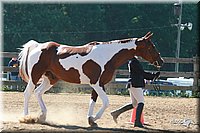 4H-3rd-06_706.jpg