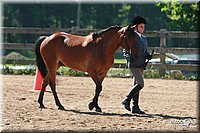 4H-3rd-06_712.jpg
