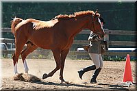 4H-3rd-06_716.jpg