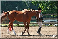 4H-3rd-06_717.jpg