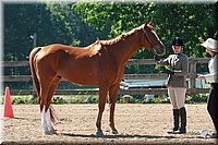 4H-3rd-06_720.jpg