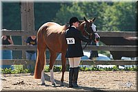 4H-3rd-06_725.jpg