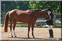 4H-3rd-06_728.jpg