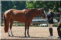 4H-3rd-06_729.jpg