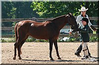 4H-3rd-06_735.jpg