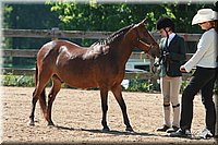 4H-3rd-06_738.jpg