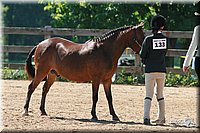 4H-3rd-06_740.jpg