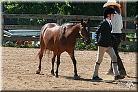 4H-3rd-06_742.jpg