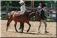 4H-3rd-06_743.jpg