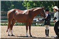 4H-3rd-06_768.jpg