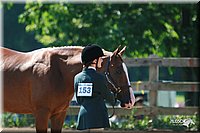 4H-3rd-06_770.jpg