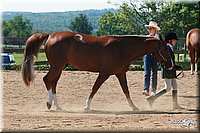 4H-3rd-06_776.jpg
