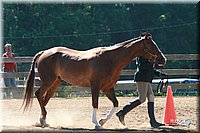 4H-3rd-06_777.jpg
