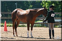 4H-3rd-06_781.jpg