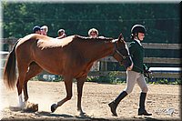 4H-3rd-06_784.jpg