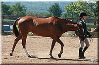 4H-3rd-06_792.jpg