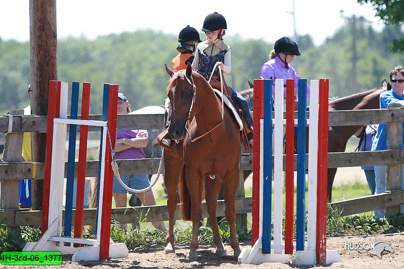 4H-3rd-06_1377.jpg