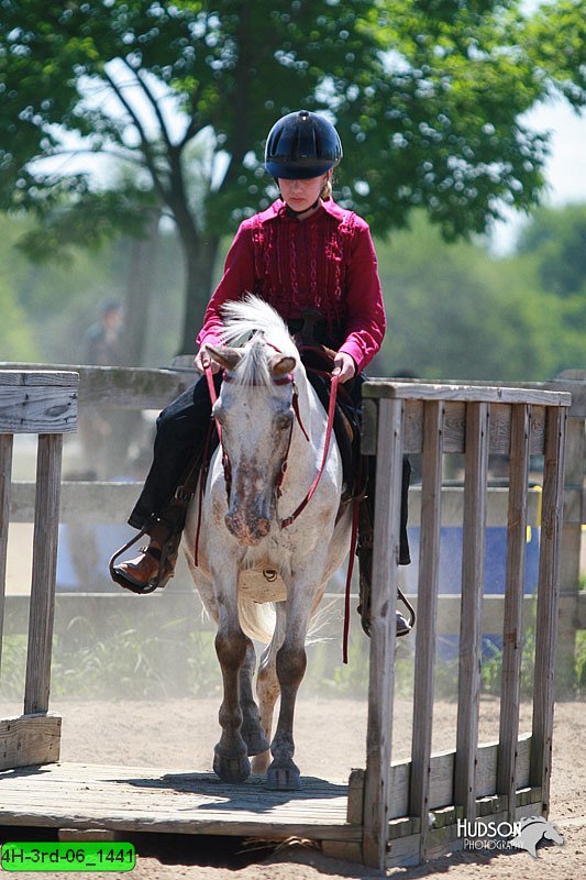4H-3rd-06_1441.jpg