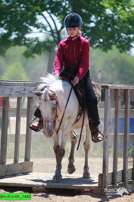 4H-3rd-06_1442.jpg