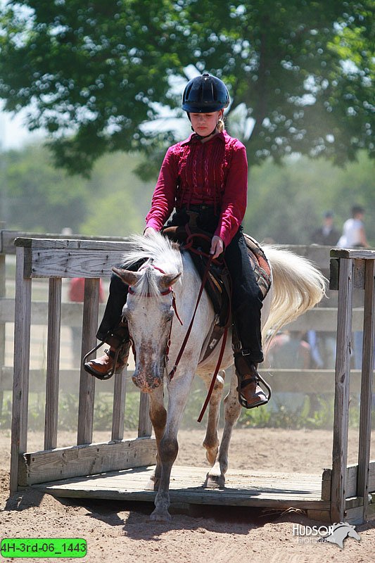 4H-3rd-06_1443.jpg