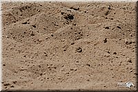 4H-3rd-06_1336.jpg