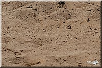 4H-3rd-06_1337.jpg