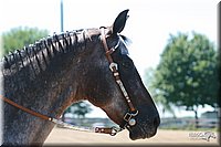 4H-3rd-06_1420.jpg