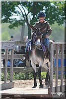 4H-3rd-06_1447.jpg