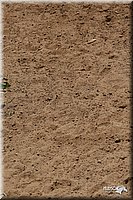 4H-3rd-06_1468.jpg