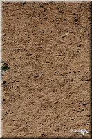 4H-3rd-06_1469.jpg