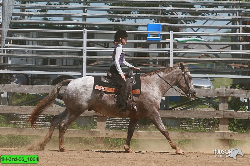 4H-3rd-06_1064.jpg