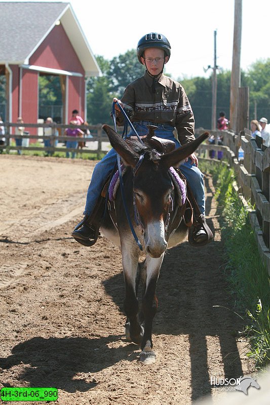 4H-3rd-06_990.jpg