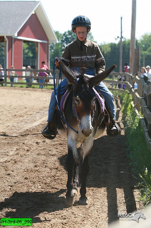 4H-3rd-06_992.jpg
