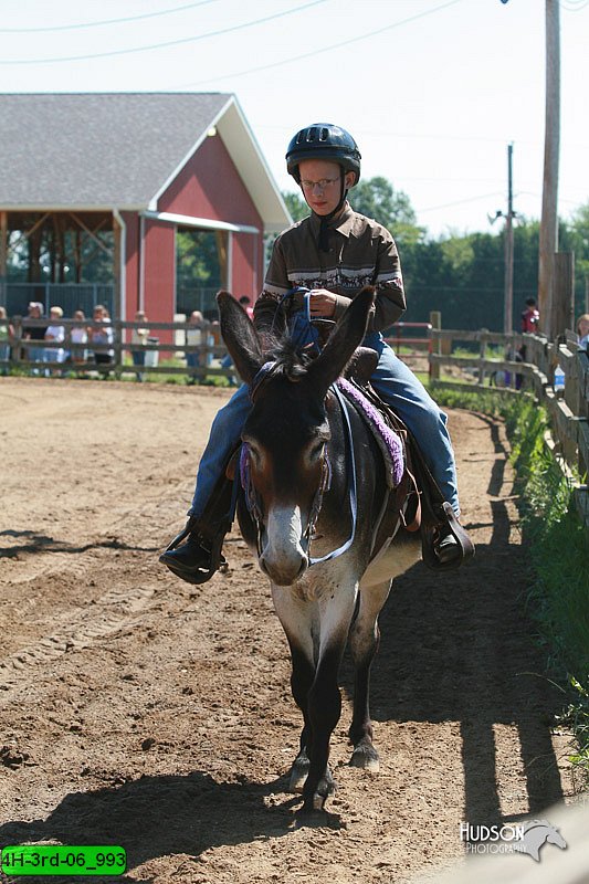 4H-3rd-06_993.jpg