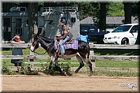 4H-3rd-06_941.jpg