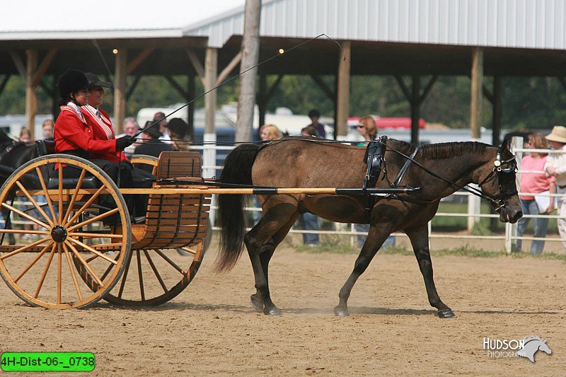 4H-Dist-06-_0738.jpg