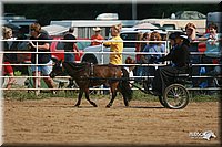 4H-Dist-06-_0685.jpg