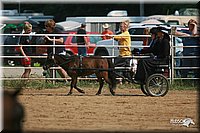 4H-Dist-06-_0686.jpg